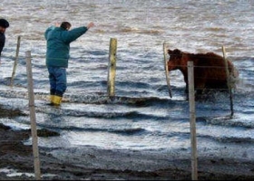 Los campos están saturados de agua y la situación se vuelve crítica