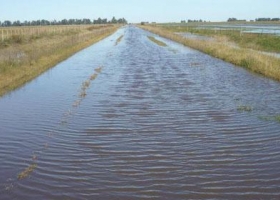 “Desde el Gobierno siguen ninguneando al sector agropecuario"