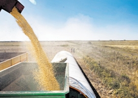 Brasil se encamina a ser el mayor exportador de soja