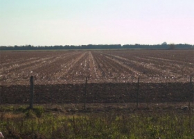 Empresarios rurales alertan sobre los proyectos de ley de arrendamiento de tierras
