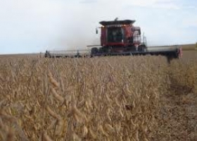 El agro aportaría hasta 37.000 millones de dólares