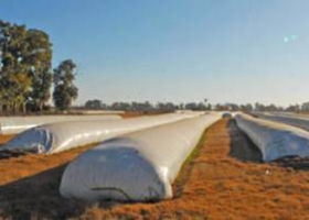 Los productores quieren mejores precios y venden poco