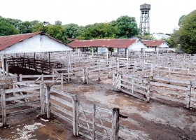 El paro rural se sentirá en el Mercado de Liniers