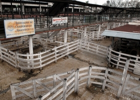 Es alto el acatamiento al paro del campo y piden endurecer la protesta