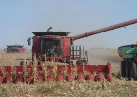 Dueños de tierra, responsables en problemas de contratistas y empleados