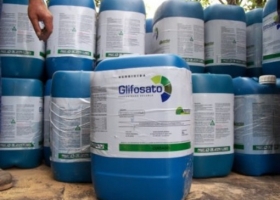 CASAFE presentó La Guía de Productos Fitosanitarios 2013 
