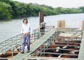 La hacienda, de las islas al feedlot