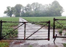El Niño traería buenas perspectivas para la cosecha gruesa