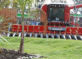 La muestra K del campo se olvidó de la soja, del trigo y de la ganadería
