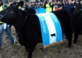 Boglione dio la vuelta olímpica en La Rural de Palermo
