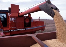 El campo pide un plan exportador previsible al Gobierno