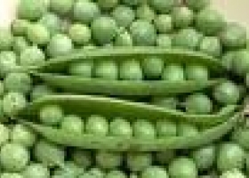 Se duplicó la producción de arvejas