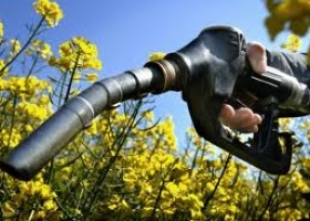 Biodiesel: aceiteras reactivan plantas y pymes planean inversiones