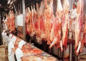 Las exportaciones de carnes bovinas terminaría 2013 por debajo de lo previsto