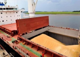 Las exportaciones del complejo agrícola podrían sumar U$S 27.300 M