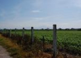 El campo reclama los frutos de su competitividad