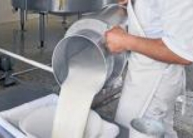 Convertirán suero en una proteína