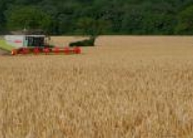 El desarrollo sectorial a través de la agricultura de precisión