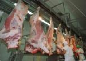 Carne: ofrecen flexibilizar exportaciones