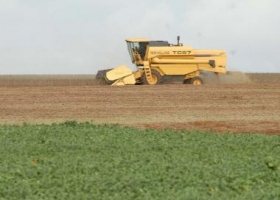 Brasil aumentó 221% producción de granos