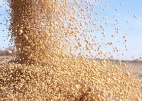 Mayoría de bajas para los cereales por ventas técnicas