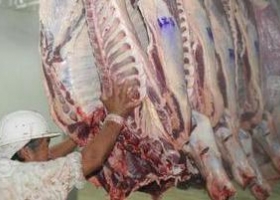 Exportación de subproductos bovinos