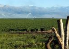 Productores norteños con distintas realidades