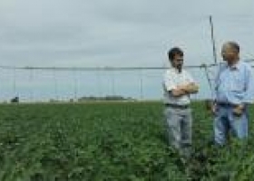 La rotación, principal socio de la alta producción 
