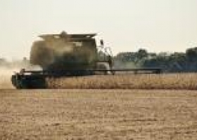 Servicio de la cosecha de soja subió 48%