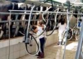A cuidar los precios de la leche