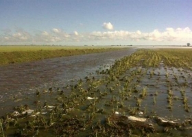 Pérdidas agrícolas por U$S 30 millones
