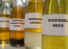 Restricciones europeas afectan a empresas de biodiesel