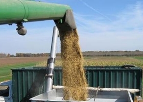 Divisas del agro llegarán a u$s 31.000 M en 2014