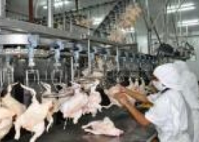 Argentina le podrá vender a México
