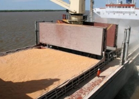 Cerealeras liquidan divisas a ritmo de cosecha