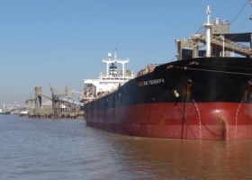 Comenzarán a oficializarse permisos de exportación de soja 2013/14