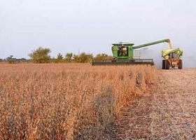 En la cosecha, habrá más dólares para reservas que para importaciones