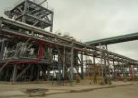 La industria del biodiésel esta frenada