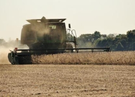 Pese a lluvias, se cosechó un 14% de soja