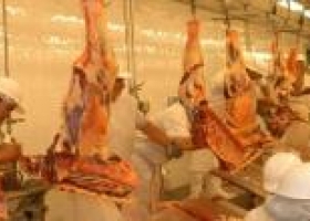 Uruguay: Enfrentados por el crecimiento ganadero