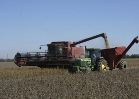 Pese a la cosecha récord, la campaña vale solo u$s 395 M más