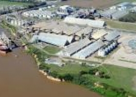 Argentina se encuentra primera en molienda de soja