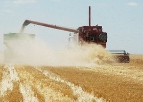 La economía creció 1,3 por ciento en el mes de febrero, por impulso del agro