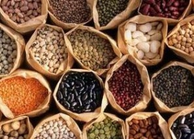 2016 será el "Año Internacional de las Legumbres Secas"