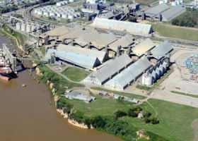 Por el cepo, las exportaciones de granos cayeron 47%