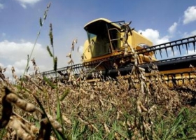 Gastos de cosecha en soja suben 49%