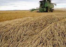El Gobierno dice querer mejorar los ROE trigueros, pero no las retenciones