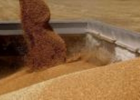 La agroindustria de soja rompió nuevo récord