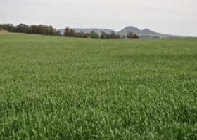 Argentinos venden sus campos en Uruguay