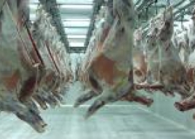 Crece el consumo de carne ovina